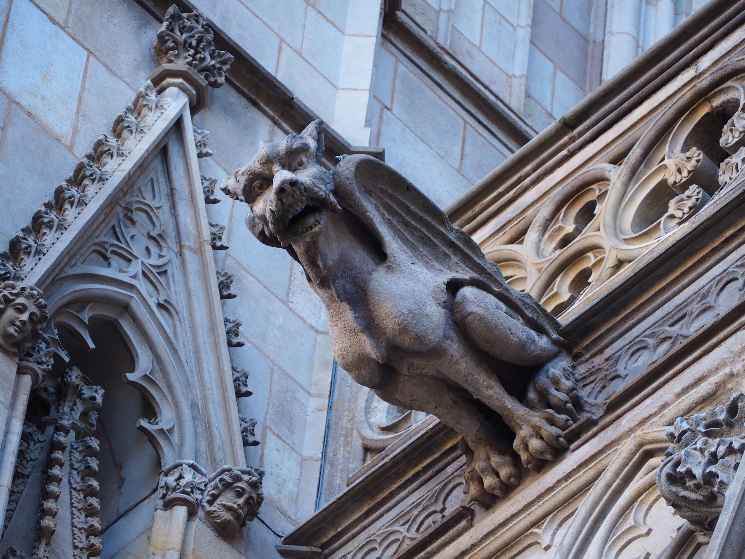 gárgola con forma de dragón en la catedral de barcelona, el barrio gótico. visita guiada para niños